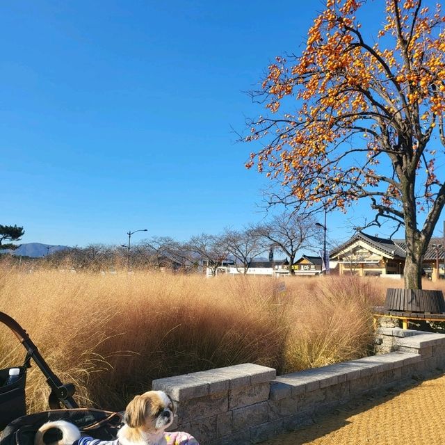 우리나라의 멋진 역사를 자랑하는 경주 명소, 첨성대 📷