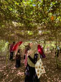 The Largest Superfruit Farm in Malaysia!