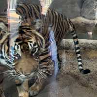 名古屋親子連れスポット‼︎見応え抜群の動植物園⭐︎