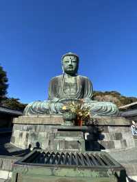 鎌倉の大仏様がま口がかわいい