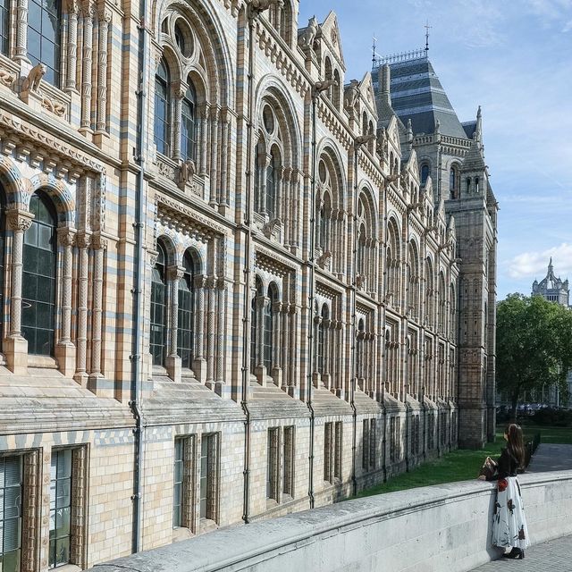 【イギリス】ナイトミュージアムの世界！自然史博物館