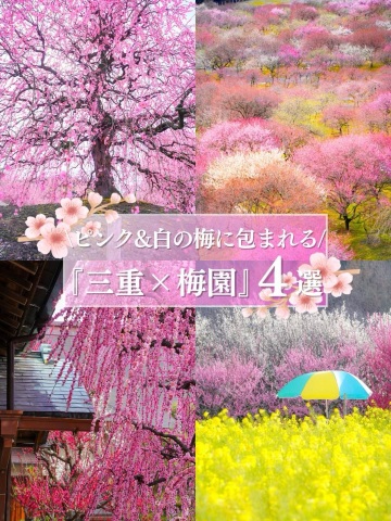 全国でも最高クラスの梅堪能エリア🌸 | Trip.com 鈴鹿