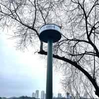 경기도에서 가장 큰 호수공원 <광교호수공원>❤️