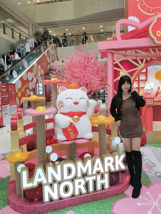🐱喵の福財運🌟速速報到！！