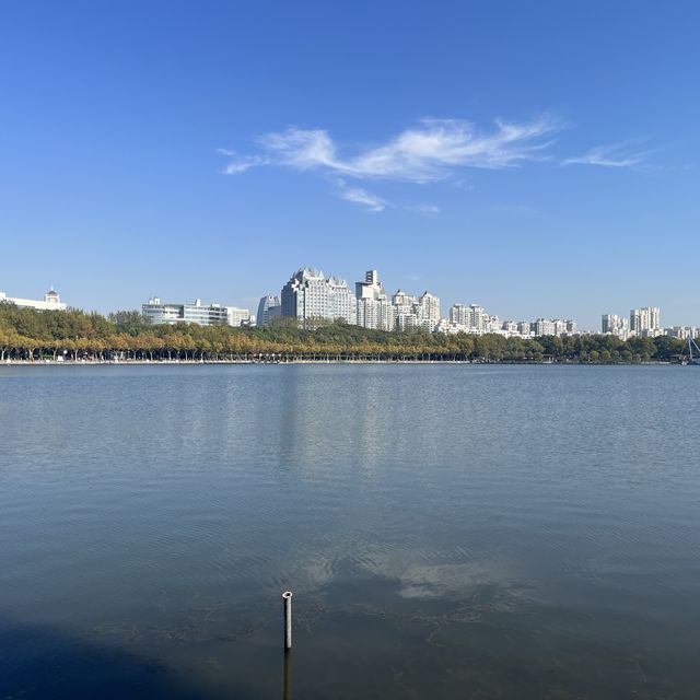 上海世紀公園