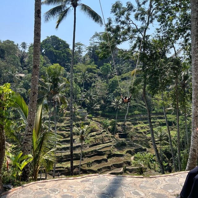 Escape the mundane with BALI SWINGGG