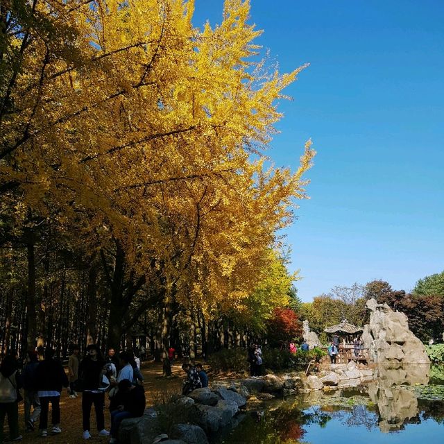 Nami Island - a Winter Sonata