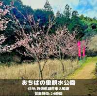 おちばの里親水公園