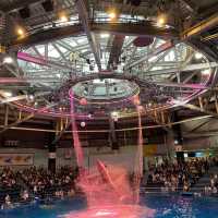 「倫敦海洋生物水族館」：驚嘆景點，深入瞭解海洋生物