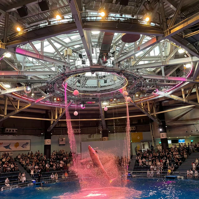 「倫敦海洋生物水族館」：驚嘆景點，深入瞭解海洋生物