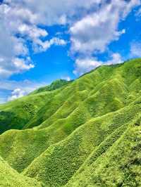 宜蘭後花園「抹茶山」莫蘭迪翠綠