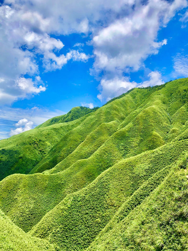 宜蘭後花園「抹茶山」莫蘭迪翠綠