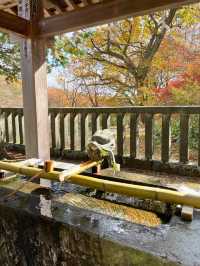 【栃木 那須塩原】温泉好きにおすすめ！御朱印と無料の足湯に入れる⛩️温泉神社