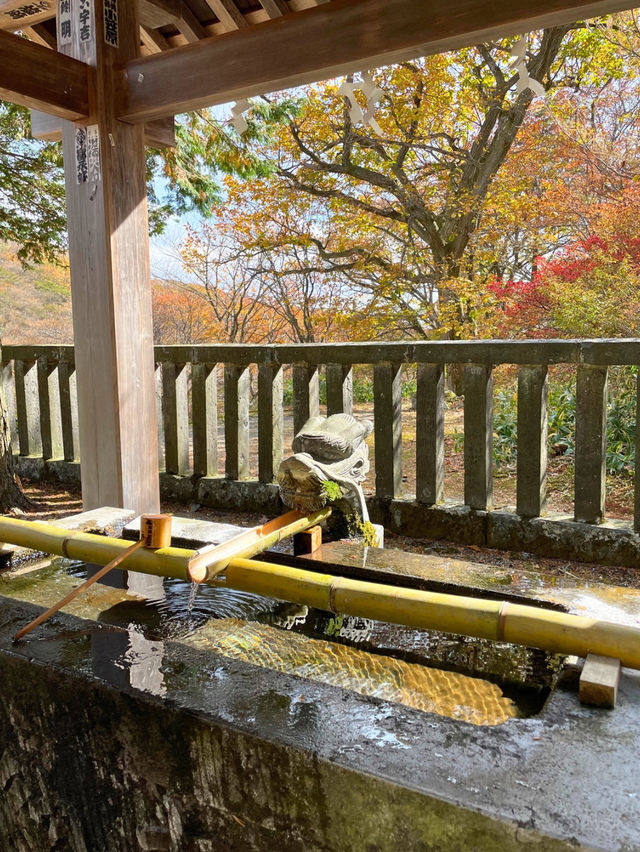 【栃木 那須塩原】温泉好きにおすすめ！御朱印と無料の足湯に入れる⛩️温泉神社