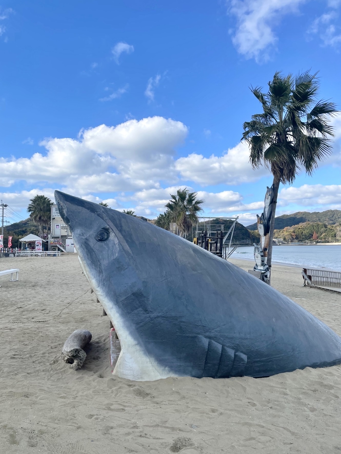 奇跡の流木 鮫モデル流木