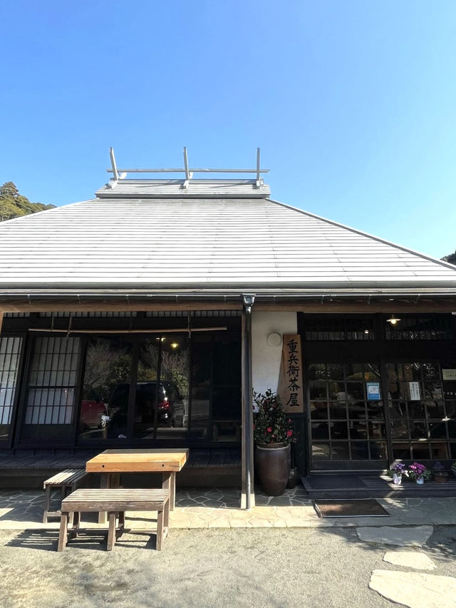 【山口グルメ】山奥にある知る人ぞ知る行列のできるうどん屋🥢