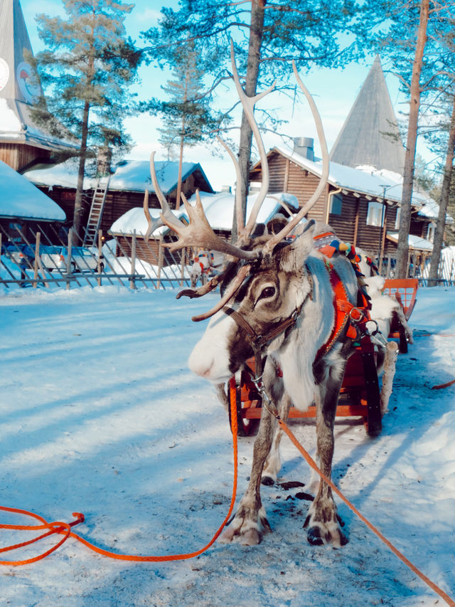 芬蘭🇫🇮|進入童話世界坐鹿車見聖誕老人🎅🏻