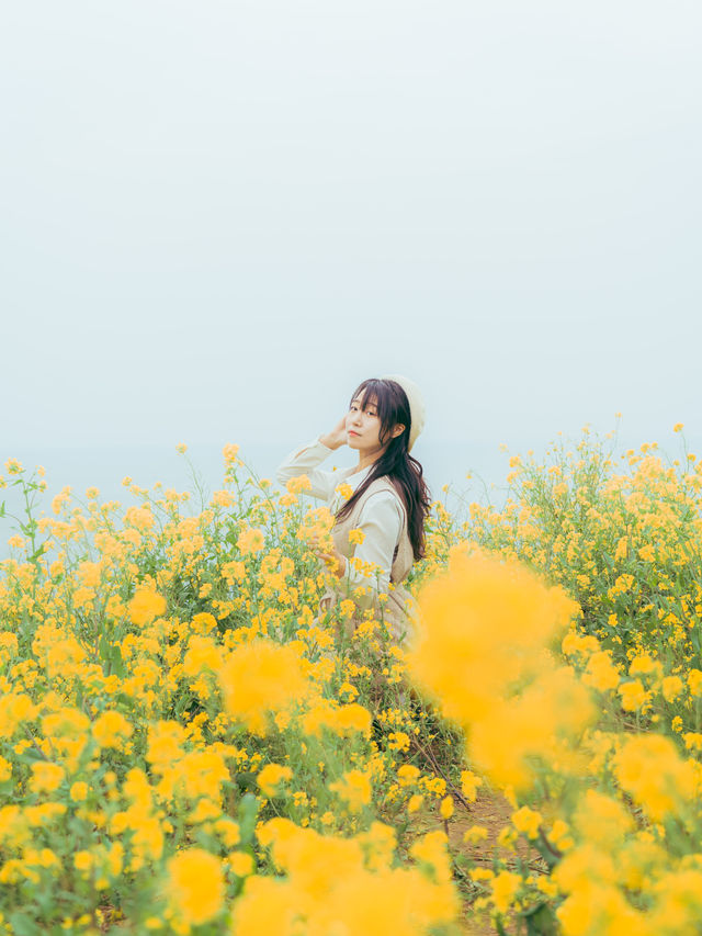 🌼제주 동쪽 유채+바다+노을 명소 [서우봉]☀️