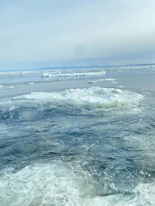 【2024年網走】絶対乗るべき流氷船おーろら