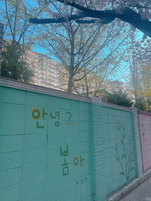 아기자기한 벽화 보는 재미가 있는 벚꽃길 봄 데이트🌸 동수북로 벽화거리