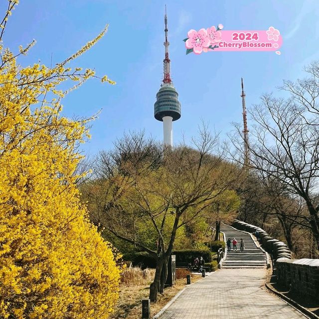 N Namsan Tower in Seoul 