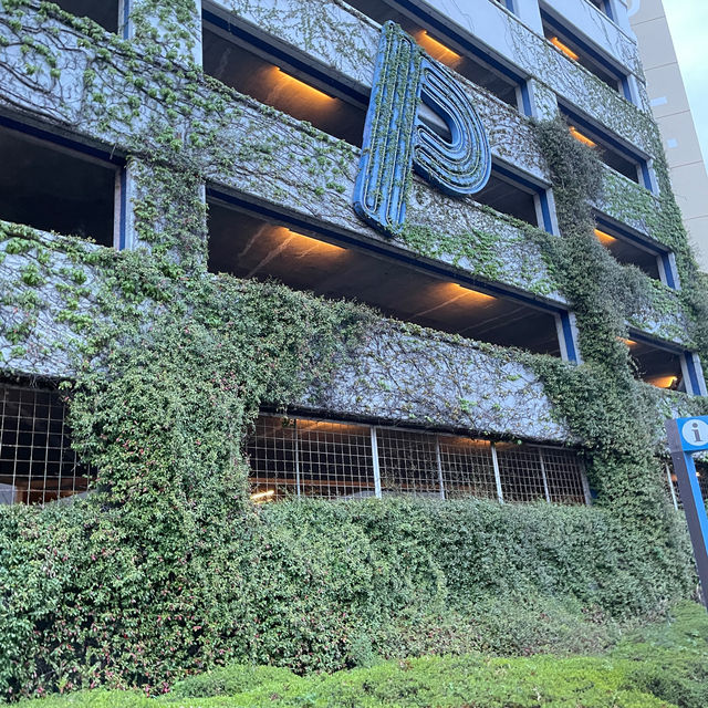 ⭐️Be Kobe⭐️美麗的海灣⭐️  ⭐️Be Kobe⭐️美麗的海灣⭐️