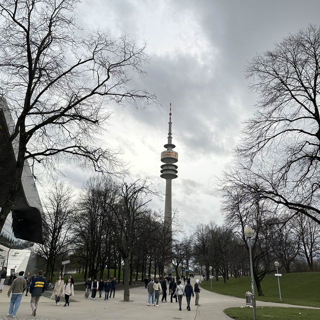 Blossom Sakura in Olympic Park, Munich