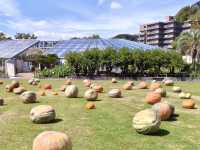 Hibiya Kadan Ofuna Flower Center Ofuna Botanical Gardens