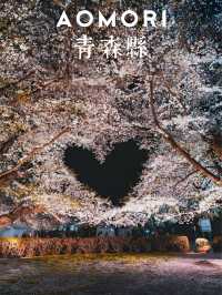 弘前公園裡的櫻花戀歌