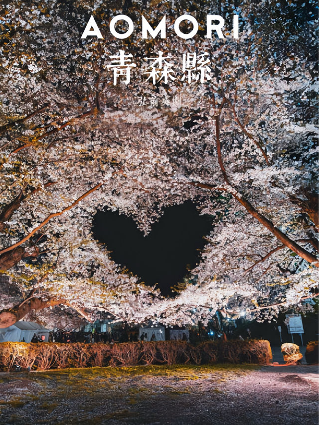 弘前公園裡的櫻花戀歌
