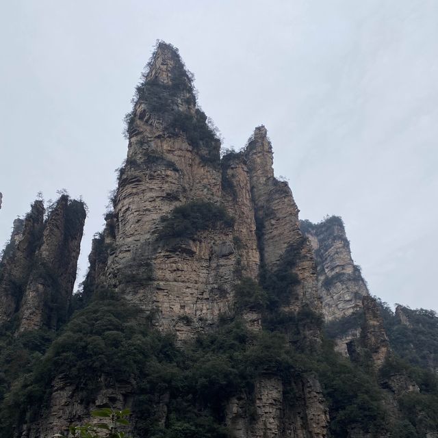 只能用壯麗來形容的「🌳張家界國家森林公園」🌳
