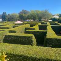 Awesome maze at the park 