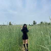 💚5월의 싱그러움과 잘 어울리는 📍안성팜랜드📍로 초대합니다💚