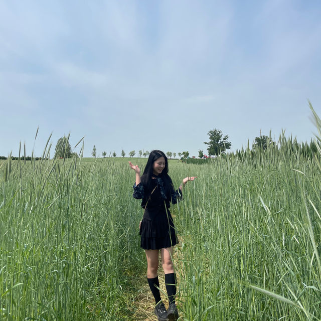 💚5월의 싱그러움과 잘 어울리는 📍안성팜랜드📍로 초대합니다💚