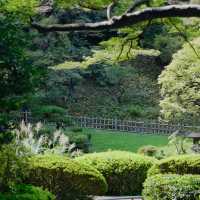 下田公園：春天好去處