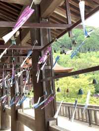 【京都観光】もうこんなに人の少ない「清水寺」は行けないかもしれない？