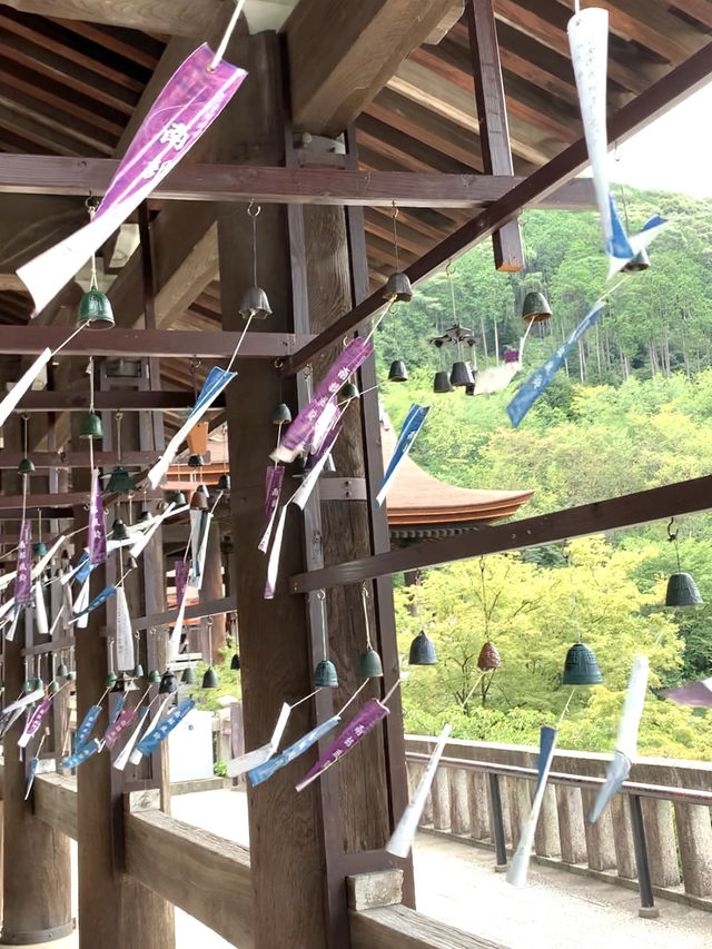 【京都観光】もうこんなに人の少ない「清水寺」は行けないかもしれない？
