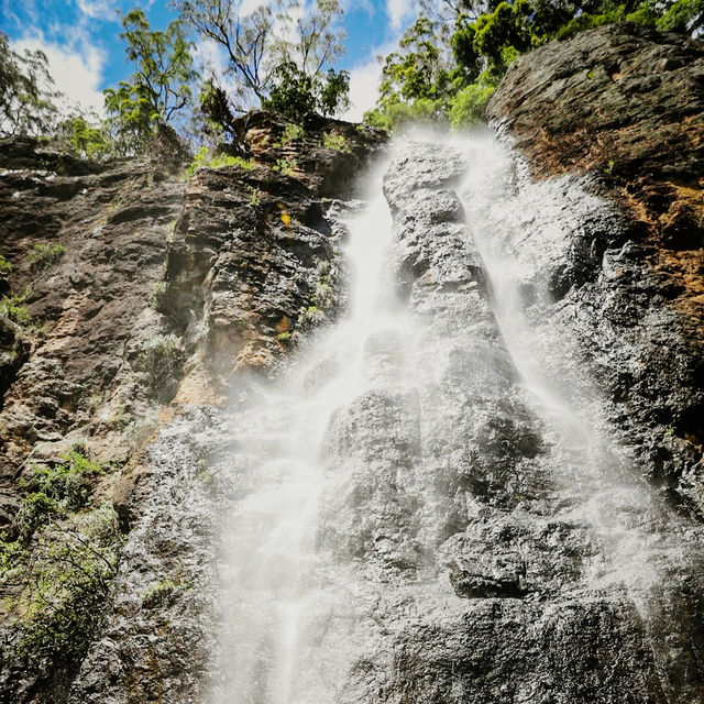 Summit to Waterfall: A Journey Through Springbrook