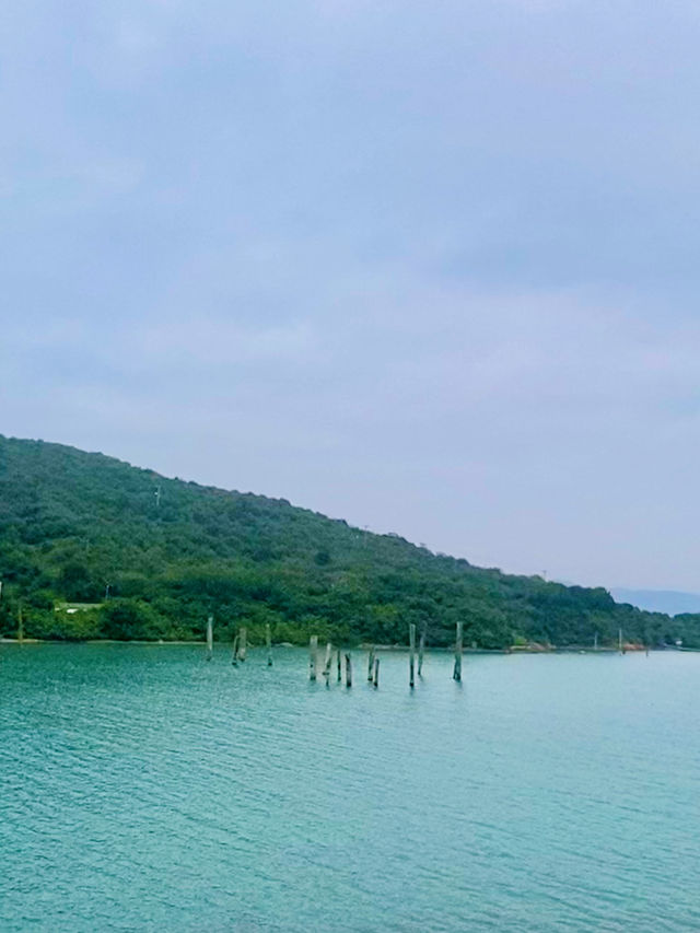 【大嶼山】欣澳鹿頸村：浮木碼頭、港版天使之路郊遊之旅
