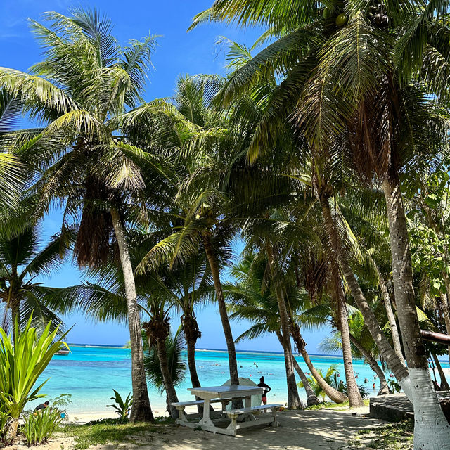 📍マニャガハ島🏖