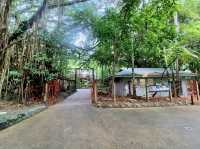 Tanks Arts Centre