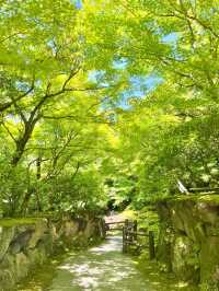 【島根　松江】庭園の中を歩ける