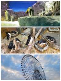 【大阪景點】海遊館：獨特設計、豐富展覽