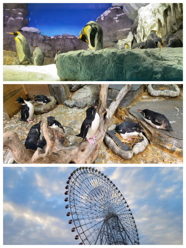 【大阪景點】海遊館：獨特設計、豐富展覽