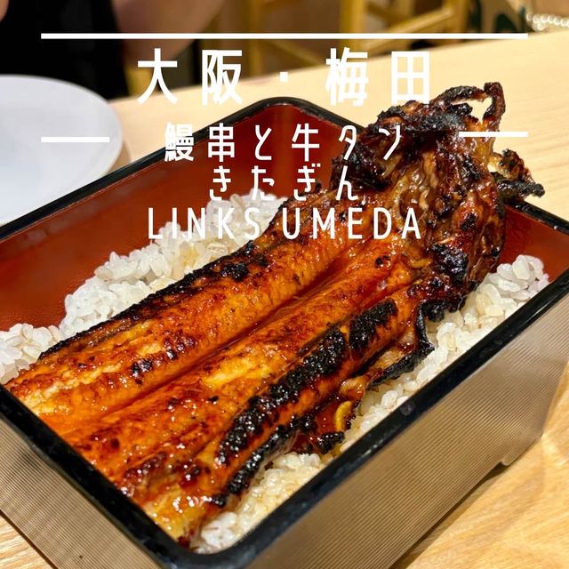 【大阪・梅田】ふっくら香ばしい鰻がリーズナブル「鰻串と牛タン きたぎん LINKS UMEDA」