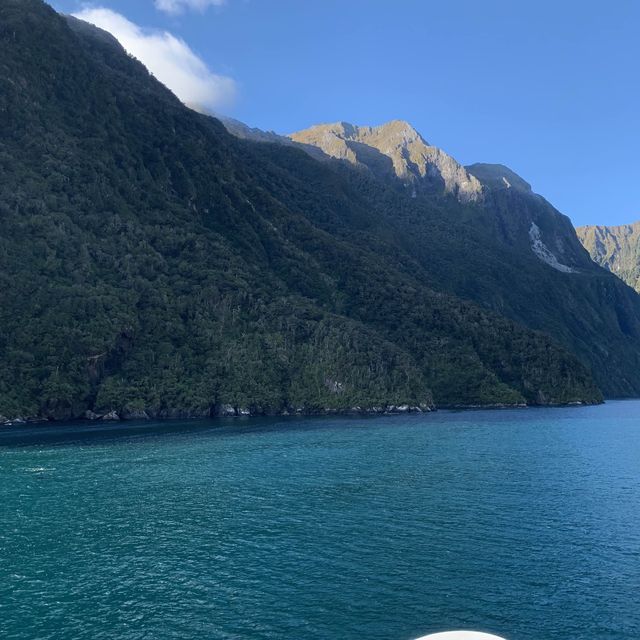 Milford Sound 米爾福德峽灣 游船+皇后鎮巴士來回