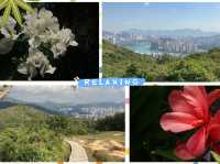 【春天好去處】🌿香港郊遊🍀@元荃古道：☀️靚景賞花🌸，適合假日郊遊