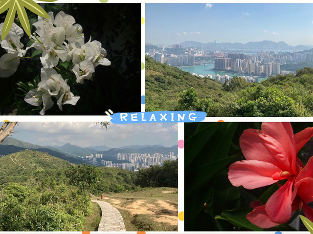 【春天好去處】🌿香港郊遊🍀@元荃古道：☀️靚景賞花🌸，適合假日郊遊