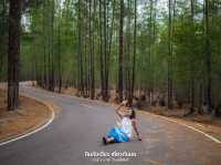 ป่าสนเหมืองแร่ เงียบสงบ ถ่ายรูปสวย