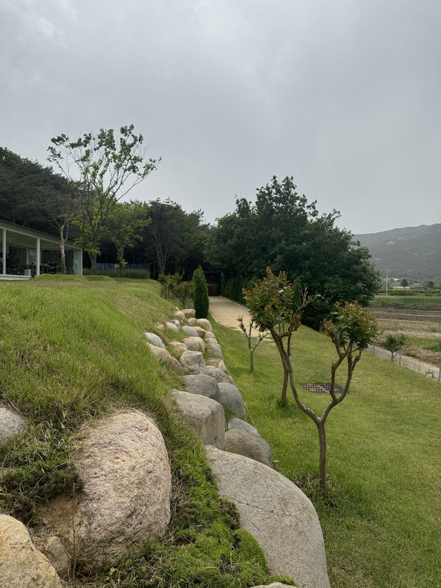 여름철 싱그러움을 느끼기 좋은 감성카페 포워드 🍃